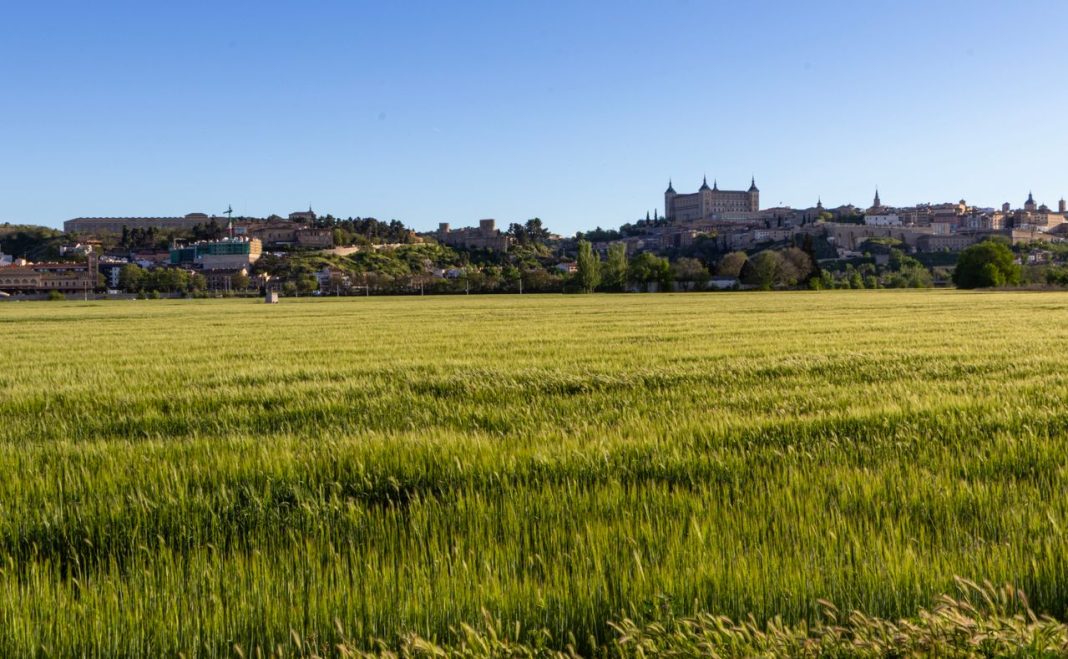 Vista de la ciudad de Toledo con el Alcázar sobre un campo de cereal.