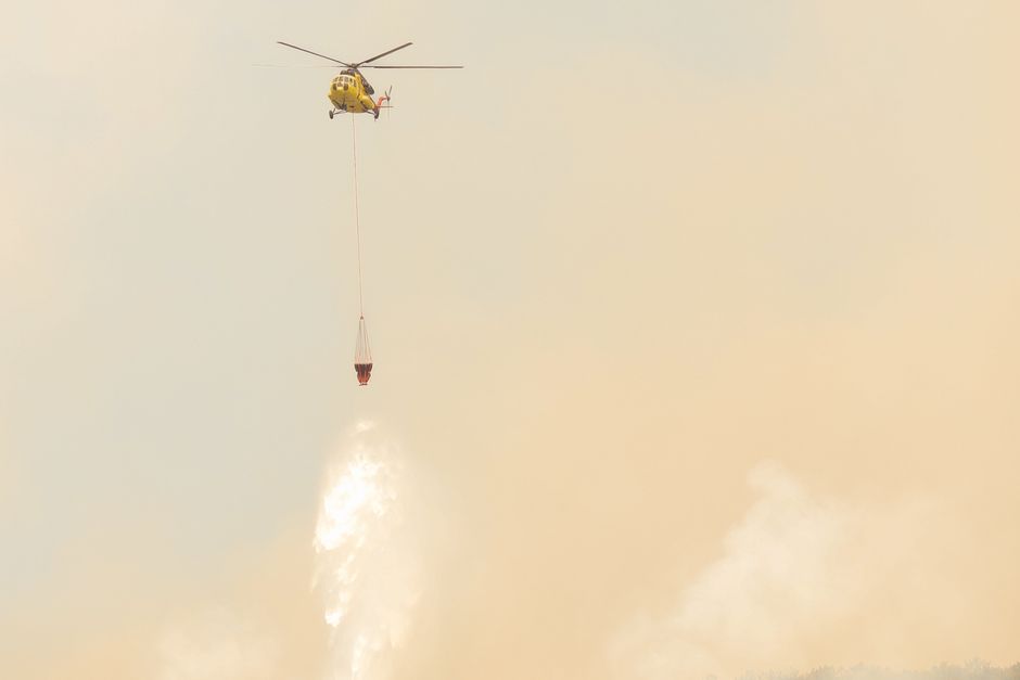 Medios aéreos y terrestres durante labores de extinción de incendio forestal en zona de pinar