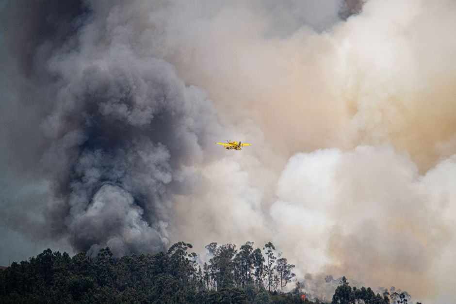 Medios aéreos y terrestres trabajando en la extinción de un incendio forestal