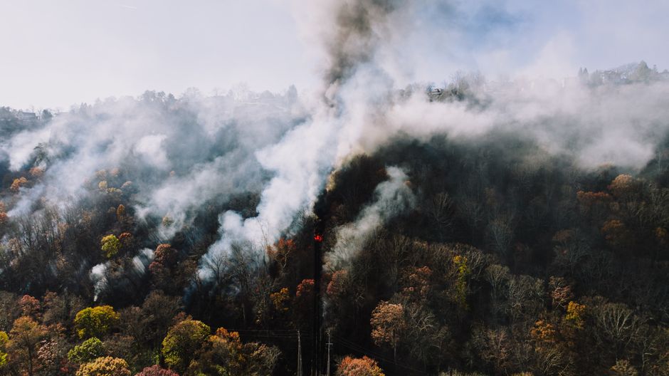 Columna de humo en un incendio forestal en zona boscosa